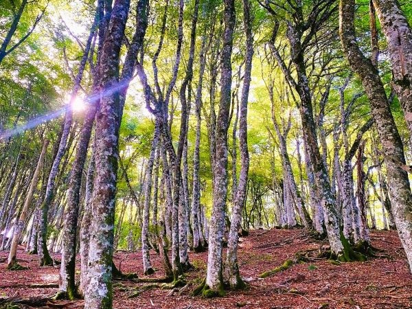 France Yoga Retreats