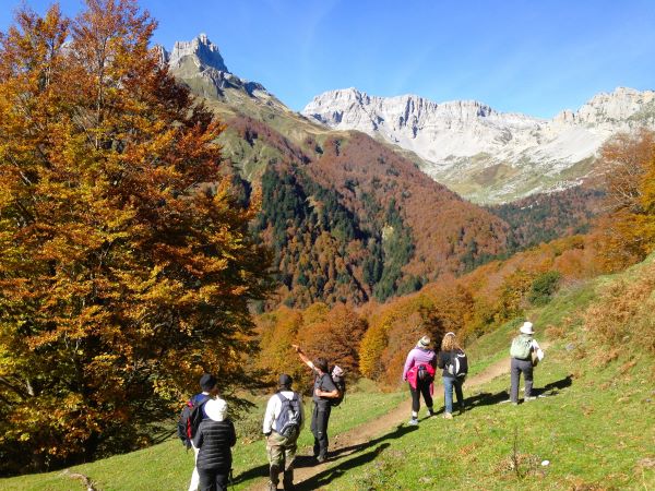 Yoga Retreats in France