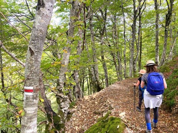 France Yoga and Hiking