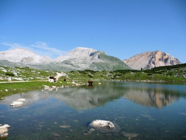 Yoga Retreats Italy